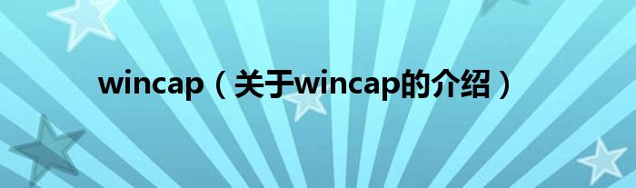 wincap（关于wincap的介绍）