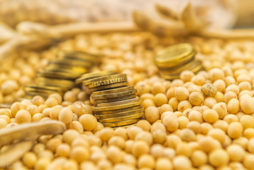 黄豆出油率仅为15%，黄豆成本高，为何黄豆油却还卖那么便宜？