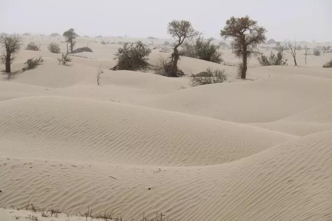 图片[3]-中国7大沙漠排名(中国最美的七大沙漠)-欣欣百科网