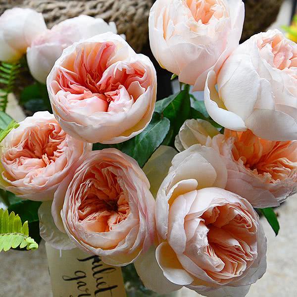 图片[3]-十大最贵的玫瑰花品牌(全世界最贵的玫瑰花)-欣欣百科网