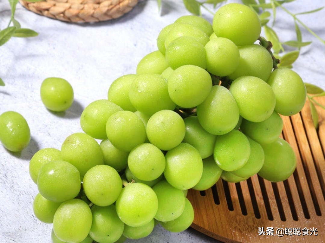 图片[7]-葡萄品种排名前十(10个常见的葡萄品种)-欣欣百科网