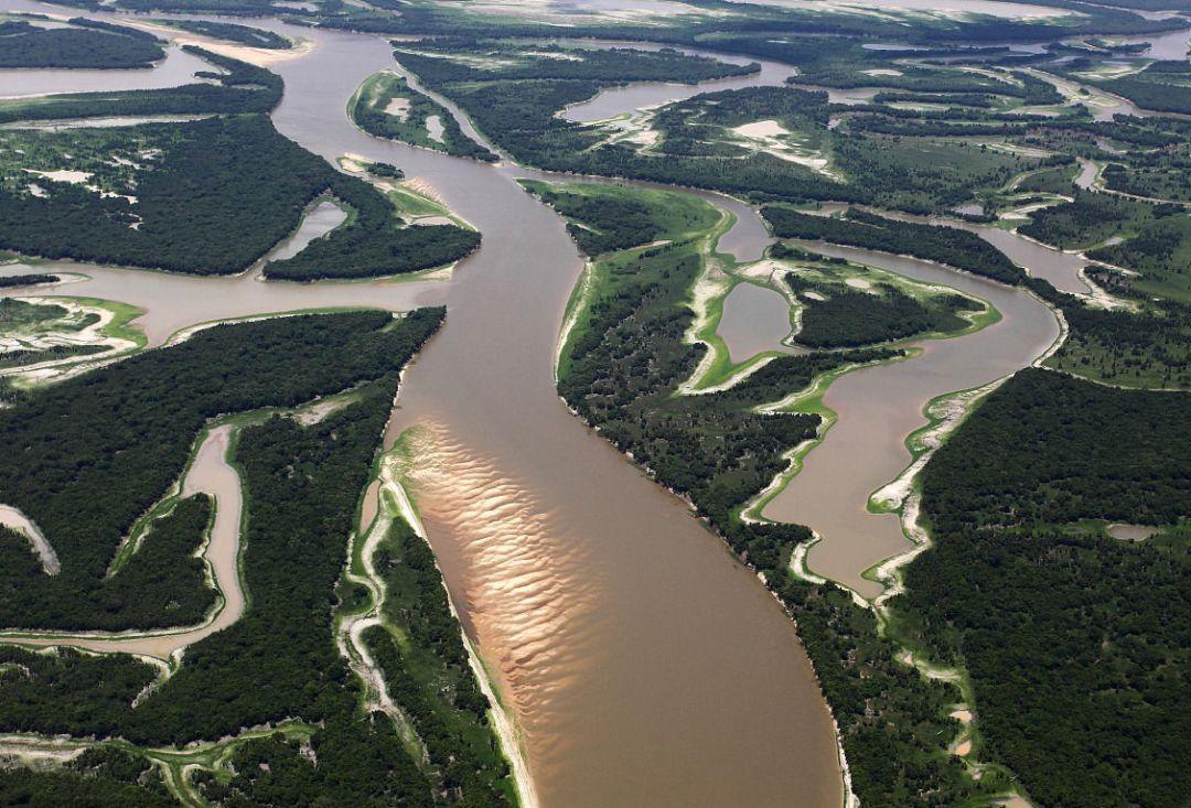 图片[3]-亚马逊雨林被称为生人禁区(人类禁区亚马逊雨林有多恐怖)-欣欣百科网