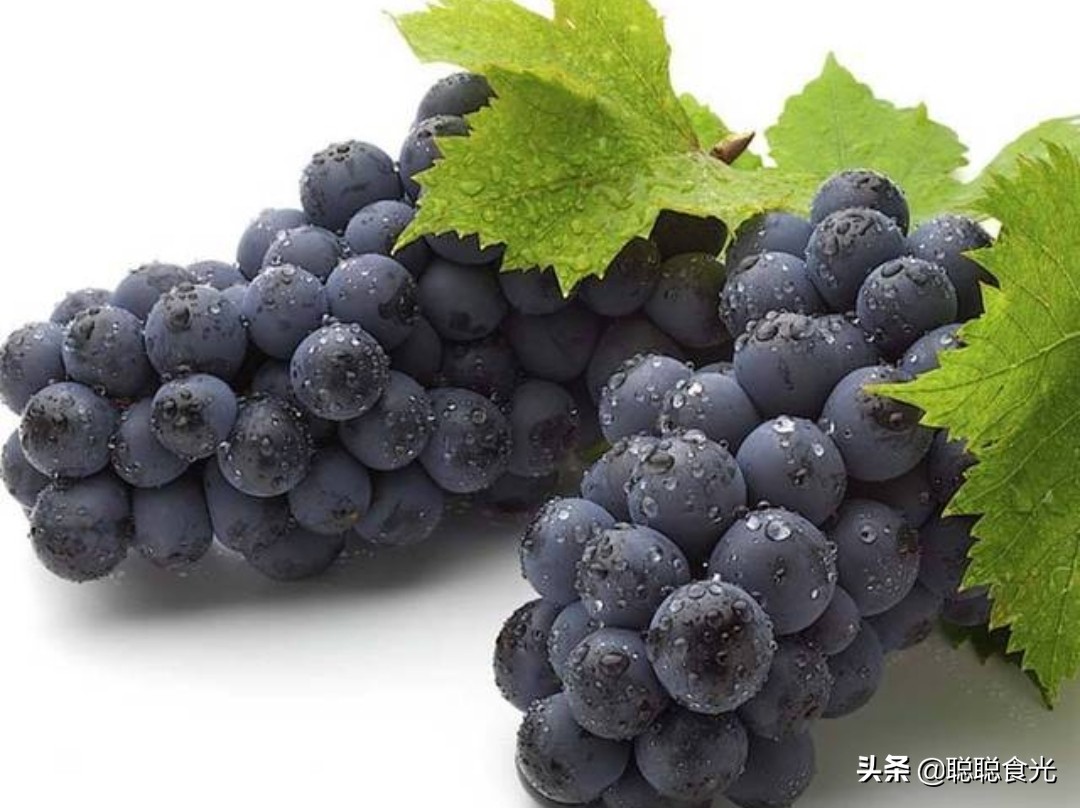 图片[2]-葡萄品种排名前十(10个常见的葡萄品种)-欣欣百科网