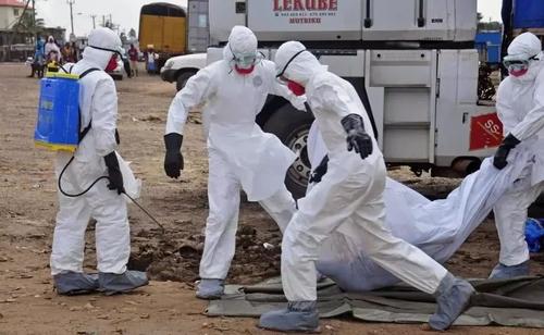 中国埃博拉病毒事件图片