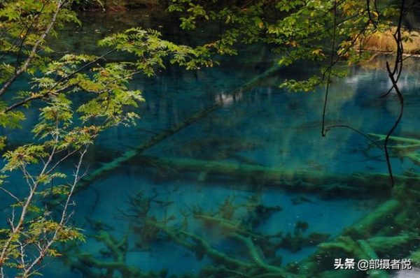 图片[4]-中国最宽的瀑布是什么瀑布(中国最宽的瀑布什么地方)-欣欣百科网