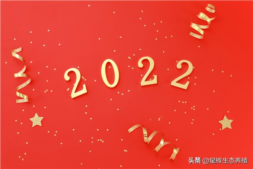 图片[1]-元旦放假安排2022年(元旦放假安排2022年最新)-欣欣百科网