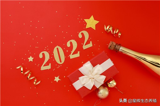 图片[3]-元旦放假安排2022年(元旦放假安排2022年最新)-欣欣百科网