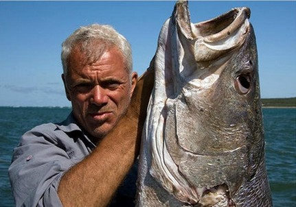 图片[7]-最大的鱼类是什么(世界上最大的鱼是什么鱼)-欣欣百科网