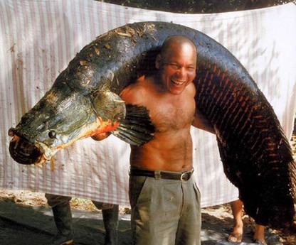 图片[10]-最大的鱼类是什么(世界上最大的鱼是什么鱼)-欣欣百科网