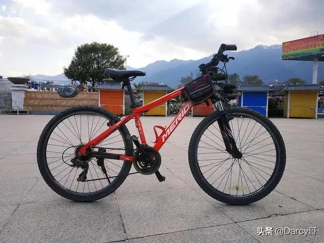 中国自行车十大名牌（国产户外运动自行车品牌）