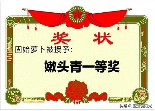 图片[5]-中国10大最好吃的萝卜(十大知名萝卜有哪些)-欣欣百科网
