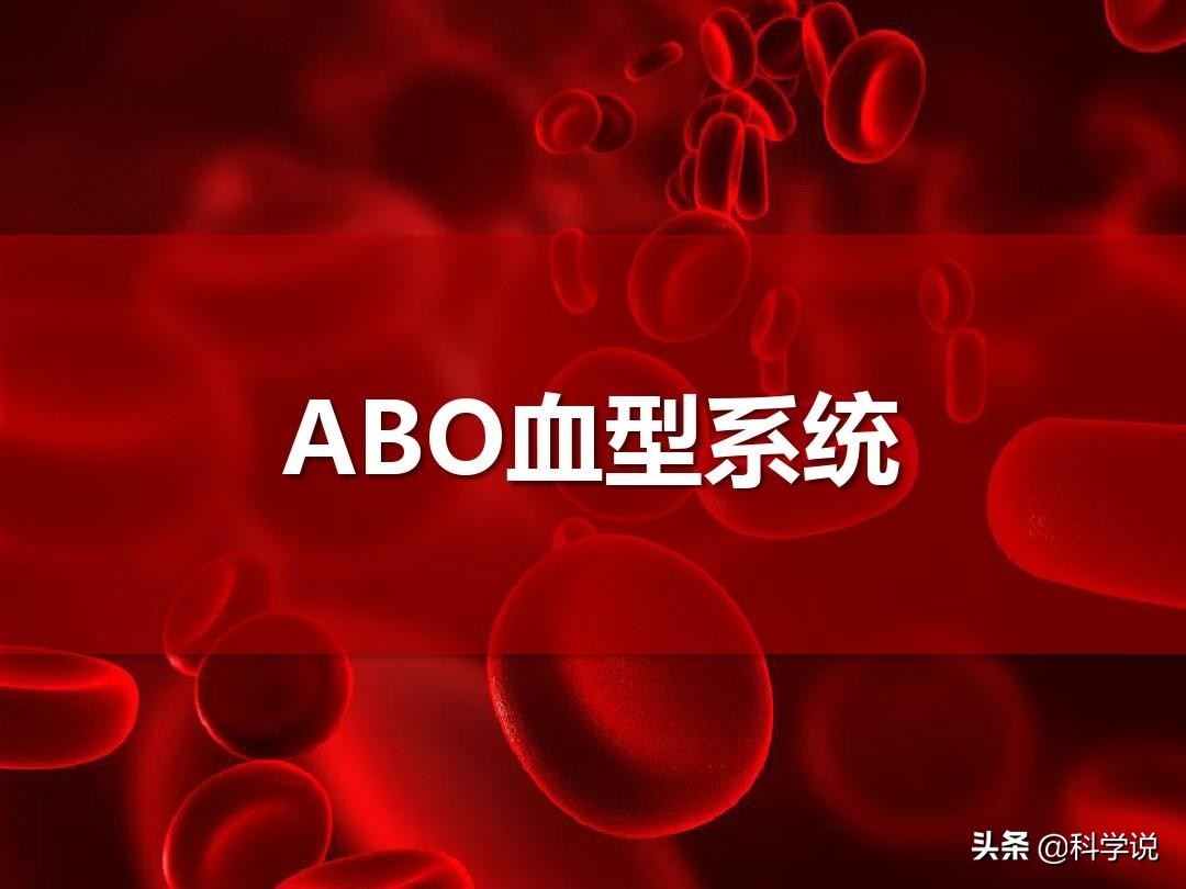 ab型血为什么叫熊猫血（熊猫血有几种血型，比例是多少）