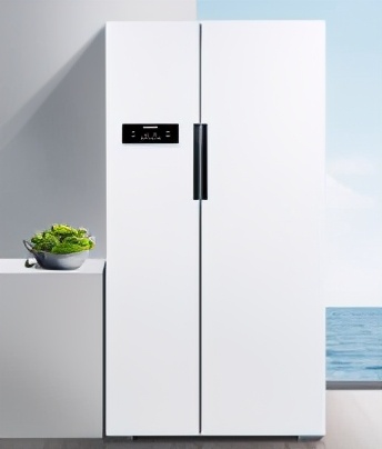 图片[1]-冰箱排名前十名的品牌(冰箱质量排行榜前10名)-欣欣百科网