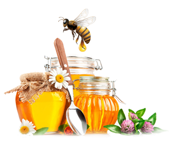 图片[1]-蜂蜜可以放冰箱吗(蜂蜜可以放在冰箱里保存吗)-欣欣百科网