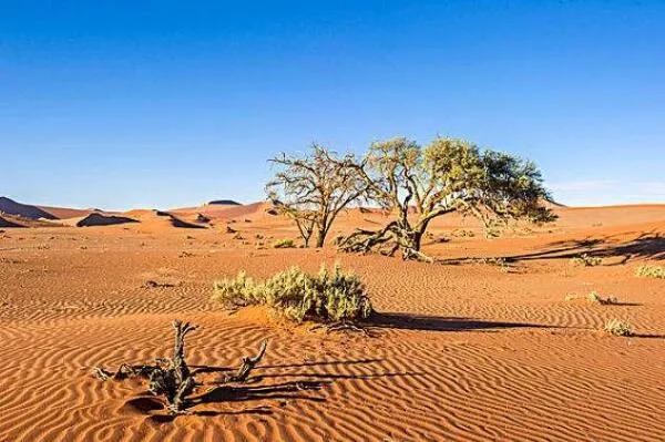 世界上最古老的十个沙漠，世界上最古老的沙漠有哪些(附2023年最新排行榜前十名单)
