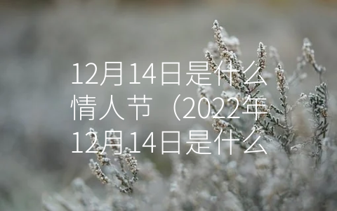 12月14日是什么情人节（2022年12月14日是什么情人节）