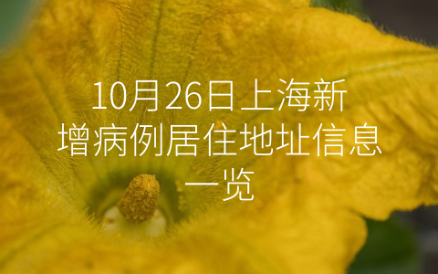 10月26日上海新增病例居住地址信息一览