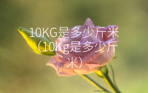 10KG是多少斤米（10Kg是多少斤米）