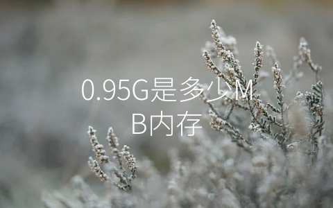 0.95G是多少MB内存