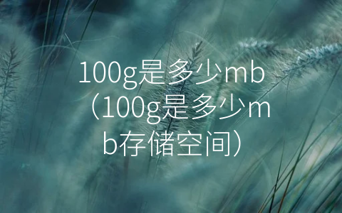 100g是多少mb（100g是多少mb存储空间）