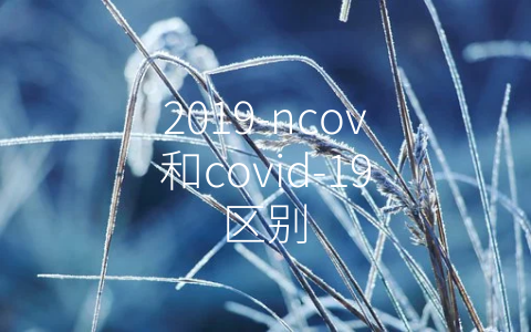 2019-ncov和covid-19区别