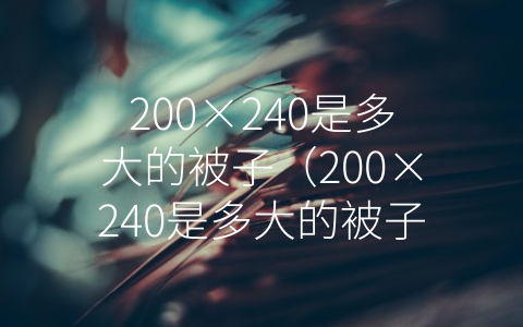 200×240是多大的被子（200×240是多大的被子是几乘几）