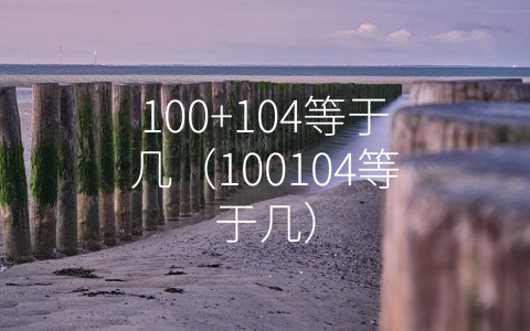 100+104等于几（100104等于几）