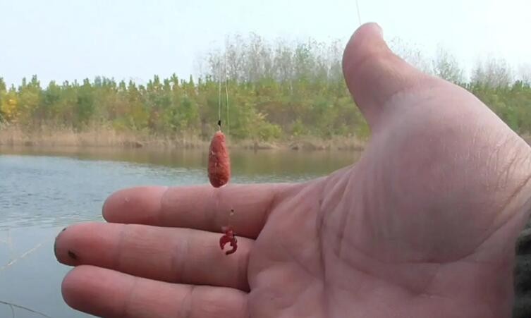 红虫钓鱼注意事项是什么